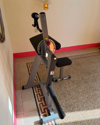 Body-solid macchina bicipiti e tricipiti perfetta