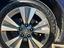 Immagine 7