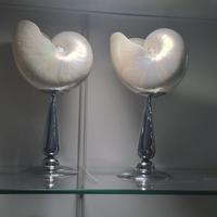 porta candele nautilus