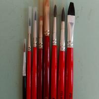 Set 8 Pennelli Professionali in Pelo di Bue 