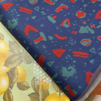 Renault twingo tessuto prima serie 93/94