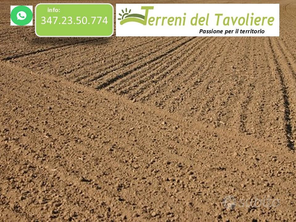 Terreno Agricolo Seminativo 5 Ettari San Severo - Vista 3