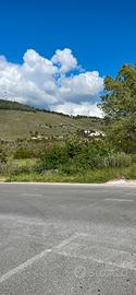 Terreno Agricolo