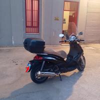 Beverly cruiser 500