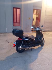 Beverly cruiser 500