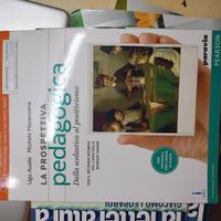 La prospettiva pedagogica