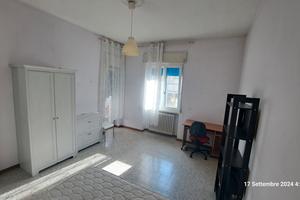 Stanze singole per studenti - zona don bosco