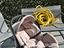 Immagine 4
