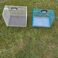 trasportino per gatti