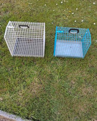 trasportino per gatti in ferro rivestito in plasti