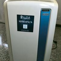 Condizionatore portatile Pinguino De' Longhi 