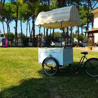 Bici gelato, o allestimenti vari