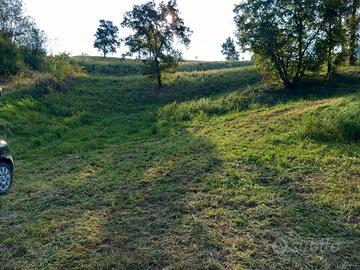 Terreno agricolo con rustico