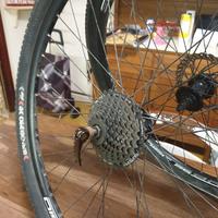 ruote complete per mtb