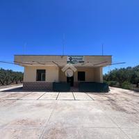 VILLA SINGOLA A MESAGNE