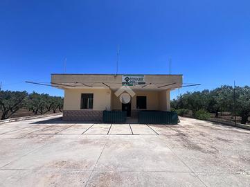 VILLA SINGOLA A MESAGNE