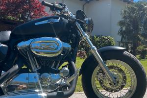 Harley Davidson Sportster 1200