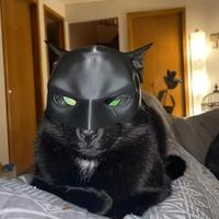 Maschera Batman per Gatti – Accessorio Divertente 