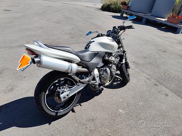 HONDA HORNET 600 ISCRITTA ASI "UNICA"