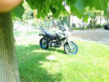 Aprilia Pegaso 650 - 2005