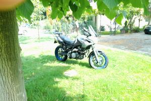 Aprilia Pegaso 650 - 2005