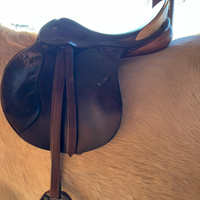 Sella da salto Prestige Appaloosa