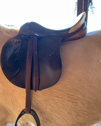 Sella da salto Prestige Appaloosa