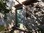 Immagine 17