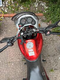 Aprilia pegaso