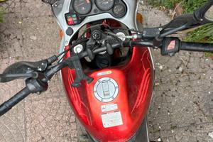 Aprilia pegaso