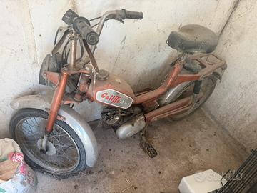 Califfo de luxe
