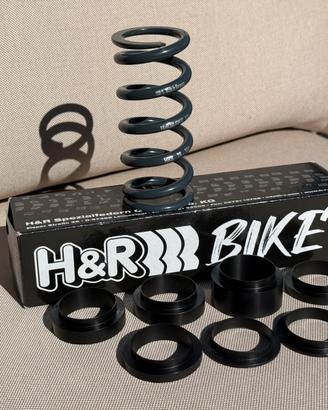 Molla universale H&R bike 65-75 mm 300 lbs