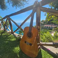 Peavey DW-1 Chitarra Acustica 