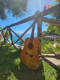 Peavey DW-1 Chitarra Acustica 