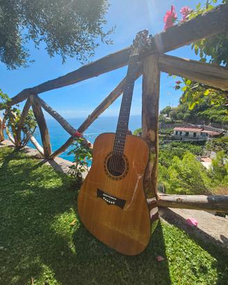 Peavey DW-1 Chitarra Acustica 