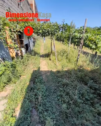 Terreno di 1700 m² a Santa Maria a Vico