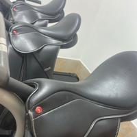 Selle inglesi