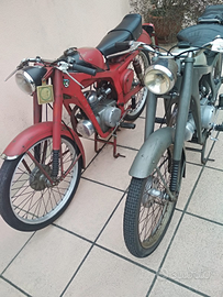 Moto Capriolo Aerocaproni - in coppia