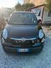 fiat-500l-living-1-3-multijet-85-cv-pop-star