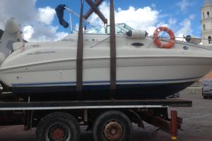 Barca americana sea ray sundancer 240