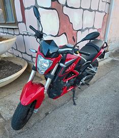 Benelli 251