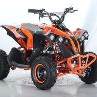 MINI LION 800W 36V APOLLO MOTORS CVM 3VELOCITA ATV