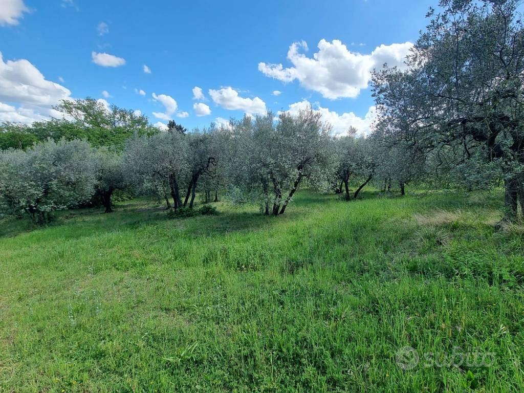 Terreno di 21090 m² a Montespertoli - Vista 5