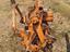 Immagine 5