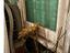 Immagine 14