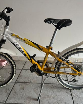 Bici Torpado cerchio 20”