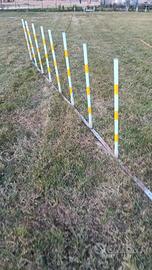 attrezzi da agility