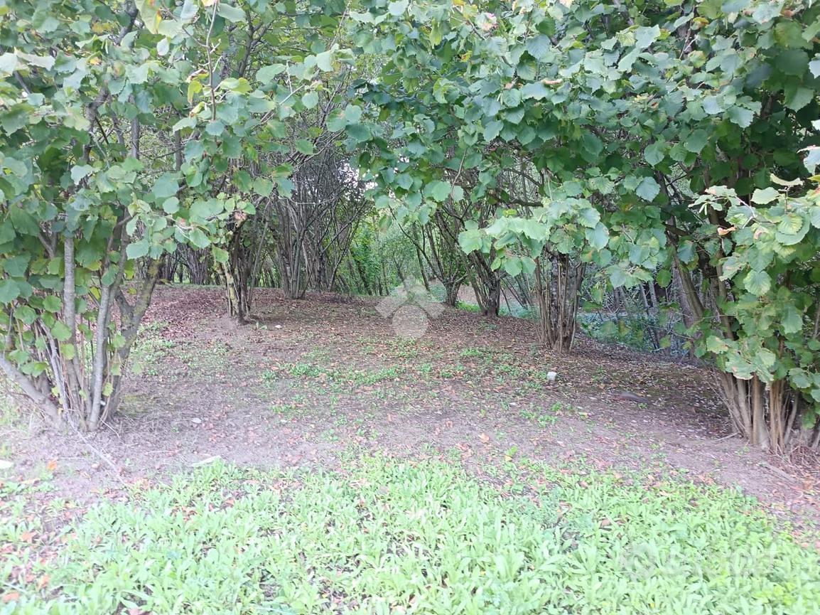 TER. AGRICOLO A GROTTOLELLA - Altro