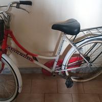 BICICLETTA ACCESSORIATA MAGNUM