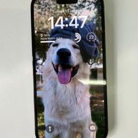 iPhone 14 Pro - 256 giga